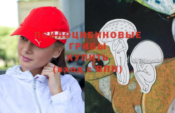 mix Алексин