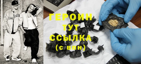 гашик Ельня